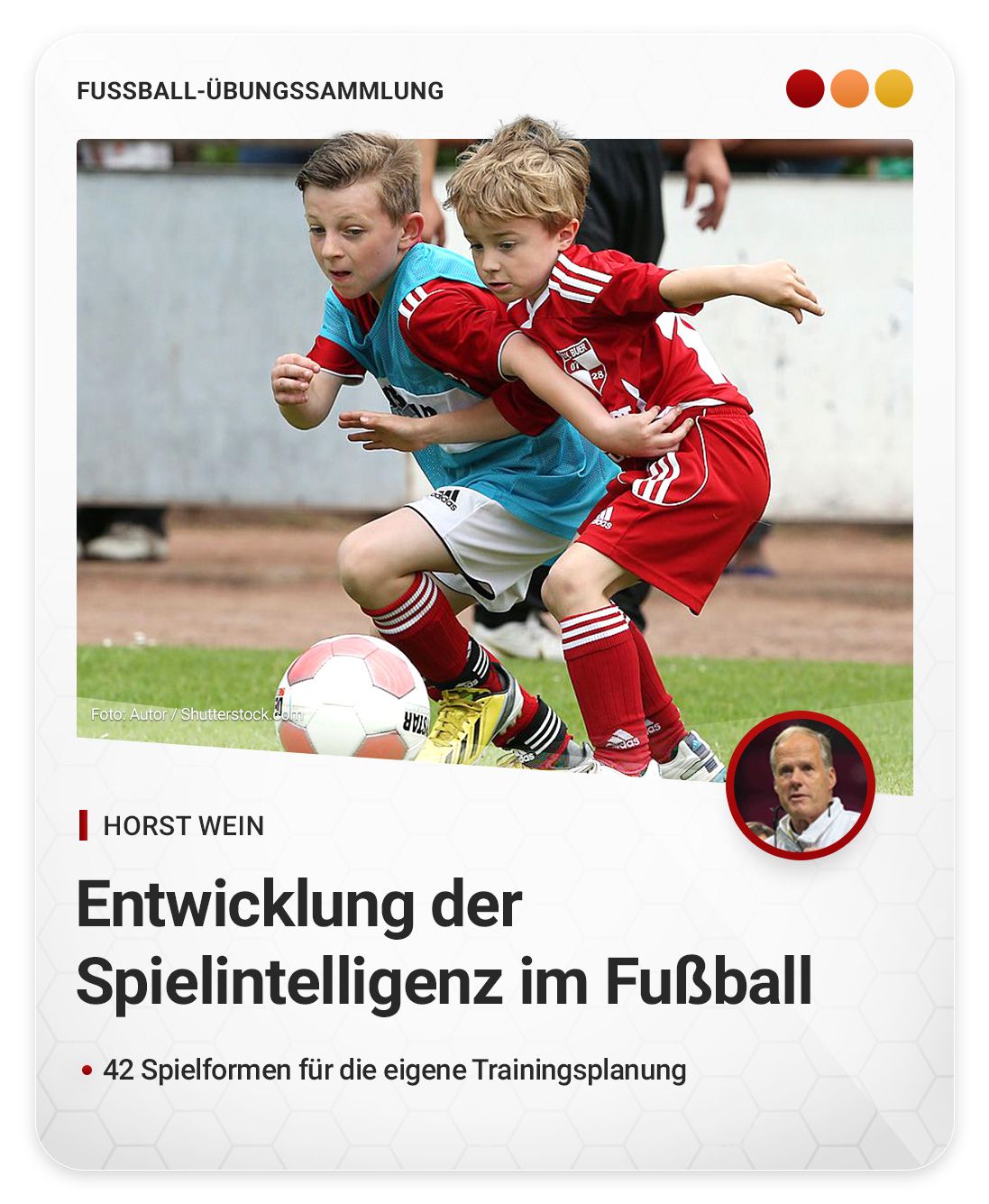 FUNiño - Die Entwicklung der Spielintelligenz im Fußball